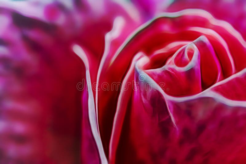 O fim aumentou acima flor da elegância ilustração do vetor