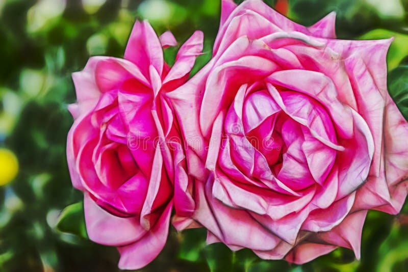 O fim aumentou acima flor da elegância imagens de stock