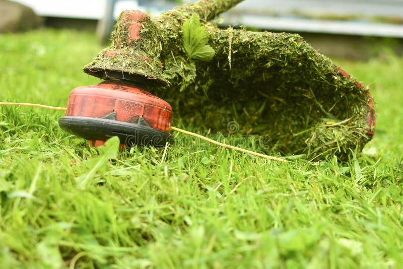 O fim do ajustador sega acima a grama com um lawnmower Jardinagem com um close-up do cortador de escova Cuidado do gramado com co