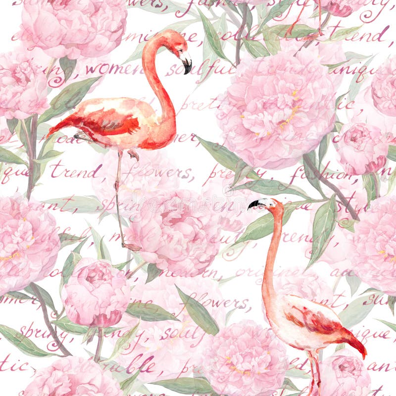 O flamingo cor-de-rosa, peônia floresce, texto escrito da mão Teste padrão sem emenda watercolor ilustração royalty free