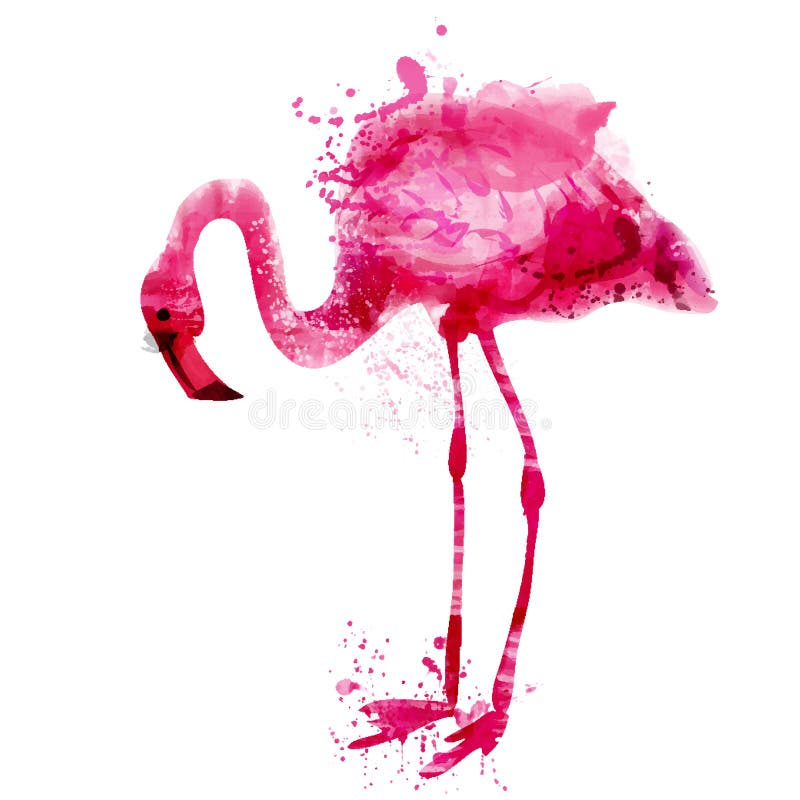 O flamingo do rosa da aquarela do vetor espirra dentro ilustração stock