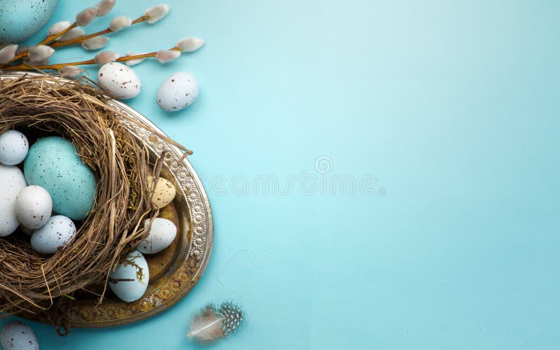 O fundo da Páscoa com ovos da páscoa e mola floresce em t azul