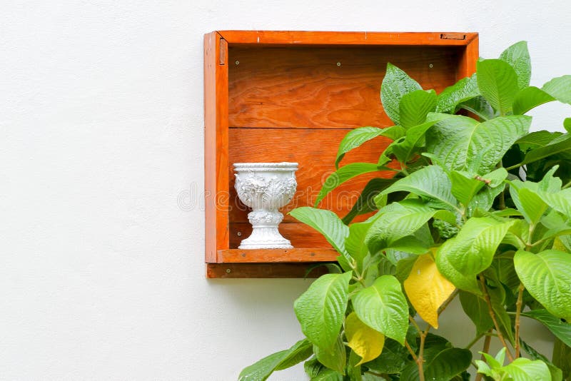 O fundo do muro de cimento com caixa de madeira e verde sae da árvore imagens de stock royalty free