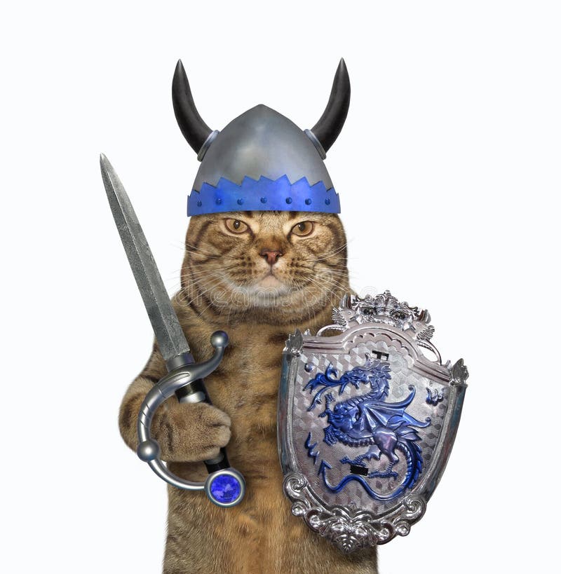 Um gato com uma espada e um escudo