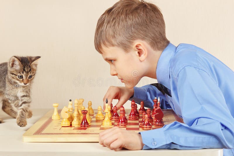 O Grandmaster Do Novato Com Gatinho Brincalhão Joga a Xadrez Foto de Stock  - Imagem de infância, pelaria: 93275426