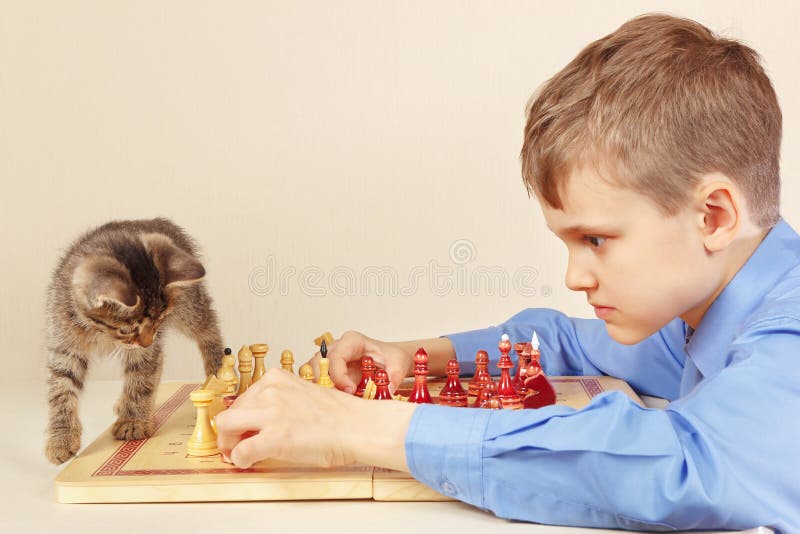 O Grandmaster Do Novato Com Gatinho Do Gato Malhado Joga a Xadrez Foto de  Stock - Imagem de desafio, garra: 99634750