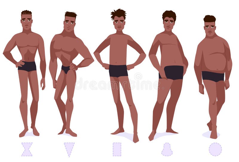 O grupo de forma do corpo masculino datilografa - cinco tipos
