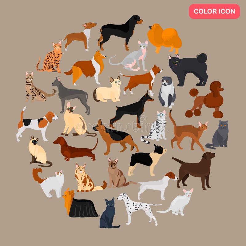O grupo de gatos e de cães diferentes produz ícones lisos da cor ilustração royalty free O grupo de gatos e de cães diferentes produz ícones lisos da cor ilustração royalty free