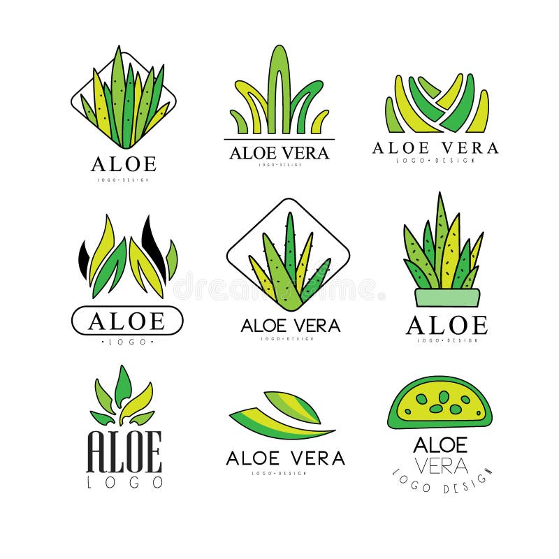 Aloe vera logotipo planta verde projeto de saúde ilustração vetorial  símbolo