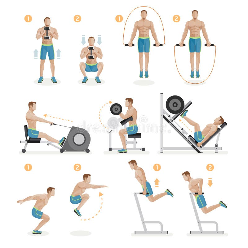 Gym exercises machines sports equipment. Vector Illustration. Gym exercises machines sports equipment. Vector Illustration.