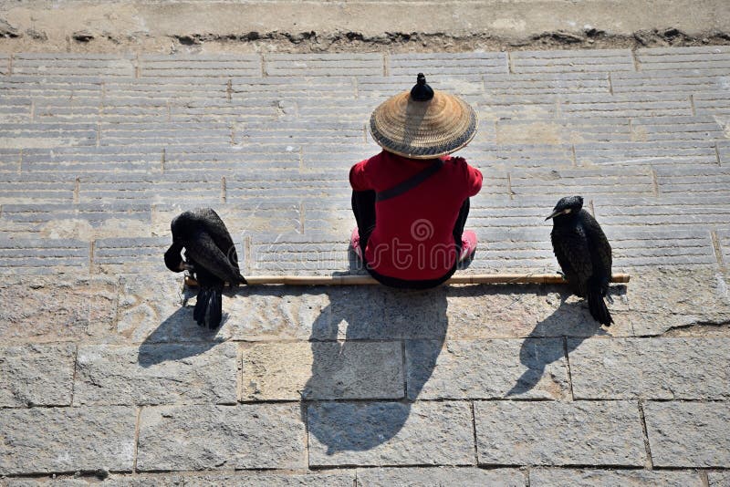 O homem com o chapéu de palha e dois cormorões sentam-se no banco do rio imagem de stock O homem com o chapéu de palha e dois cormorões sentam-se no banco do rio imagem de stock