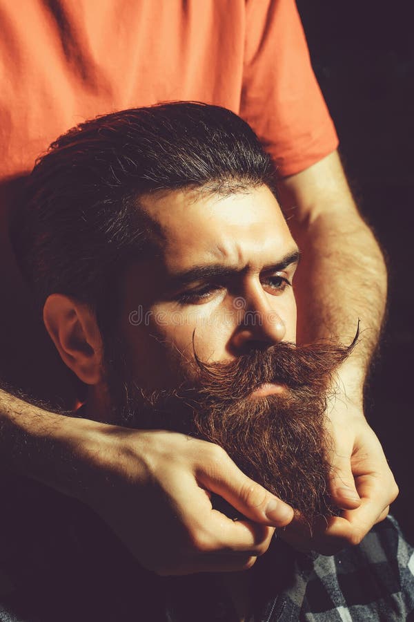 Male hands styles beard and moustache for bearded man, handsome hipster, with brunette hair on dark background. Male hands styles beard and moustache for bearded man, handsome hipster, with brunette hair on dark background