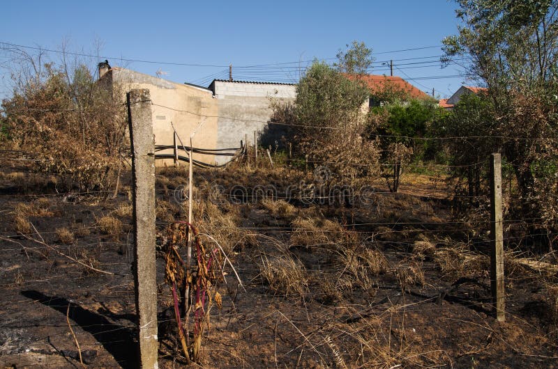 O incêndio florestal queimou a terra até casas pequenas da vila - Pedrogao grandioso imagens de stock O incêndio florestal queimou a terra até casas pequenas da vila - Pedrogao grandioso imagens de stock