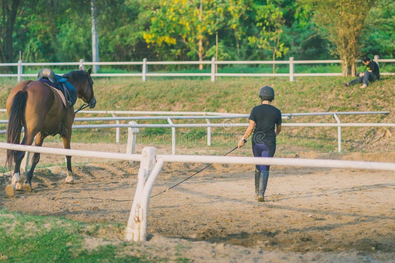 Rindo, cavalo jawning fotografia editorial. Imagem de caro - 96470167