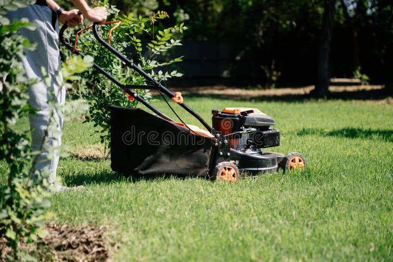 O jardineiro sega o gramado no jardim com um cortador de grama no verão imagens de stock O jardineiro sega o gramado no jardim com um cortador de grama no verão imagens de stock