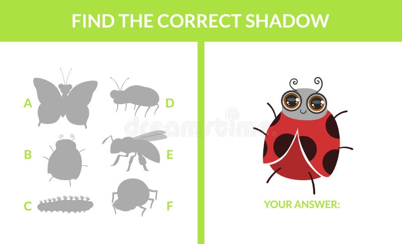 Jogos Das Crianças: Encontre a Sombra Correta Papagaio Bonito Pequeno  Ilustração do Vetor - Ilustração de mente, jogos: 71222503