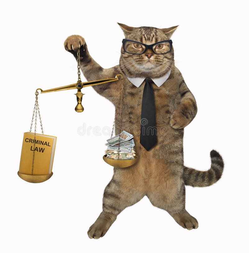 O juiz do gato guarda uma escala de justiça