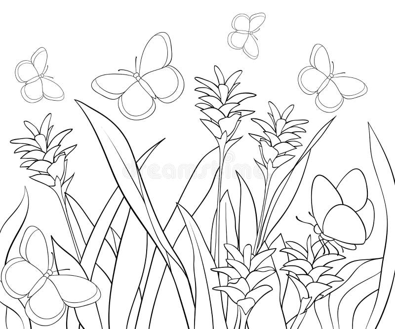 Vetores de Desenho De Flor Para Colorir Livro Para Adultos Um