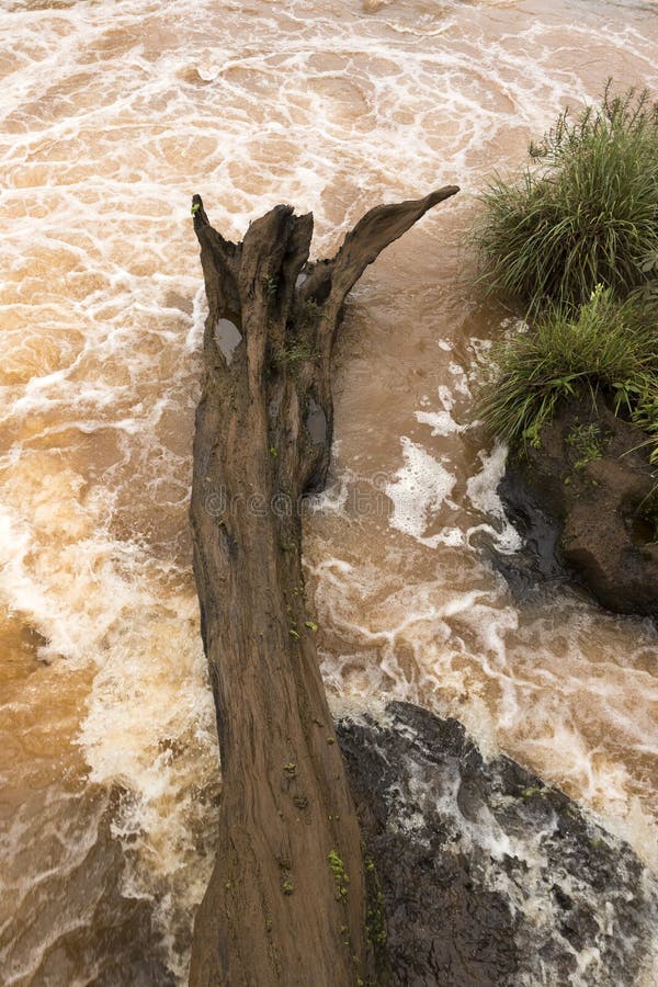 O log velho da árvore colou nas rochas de um rio foto de stock O log velho da árvore colou nas rochas de um rio foto de stock