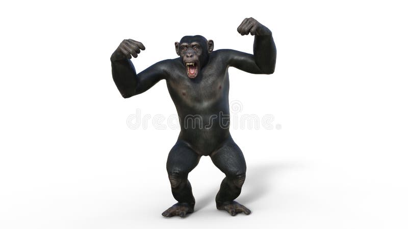 Fundo Divertida Ilustração 3d De Um Macaco Branco Fundo, Chimpanzé, Macaco,  Ilustração De Macaco Imagem de plano de fundo para download gratuito