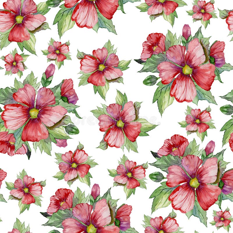 O malva vermelho floresce com botões e as folhas verdes no fundo branco Teste padrão floral sem emenda Pintura da aguarela ilustração stock O malva vermelho floresce com botões e as folhas verdes no fundo branco Teste padrão floral sem emenda Pintura da aguarela ilustração stock