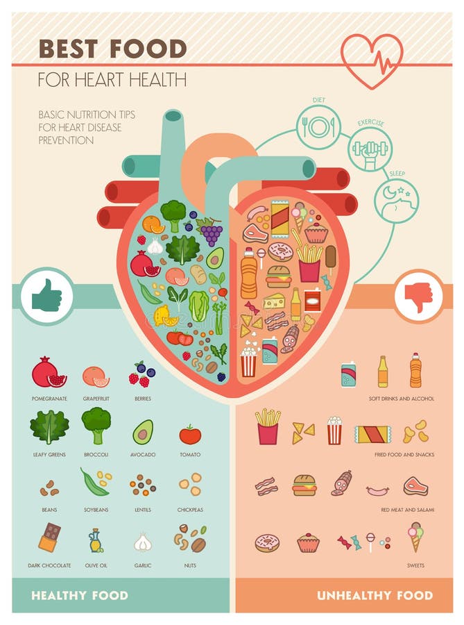 O melhor alimento para o coração ilustração do vetor O melhor alimento para o coração ilustração do vetor