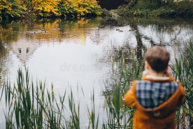 O menino bonito anda e levanta em um parque colorido do outono fotos de stock O menino bonito anda e levanta em um parque colorido do outono fotos de stock