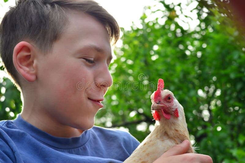 O menino guarda uma galinha branca em suas mãos e beija-a fotografia de stock royalty free O menino guarda uma galinha branca em suas mãos e beija-a fotografia de stock royalty free