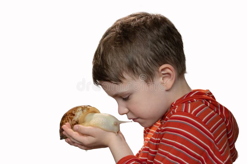 O menino olha delicadamente o caracol em sua mão, marisco da casa, amor para animais de estimação, isolado imagens de stock royalty free O menino olha delicadamente o caracol em sua mão, marisco da casa, amor para animais de estimação, isolado imagens de stock royalty free