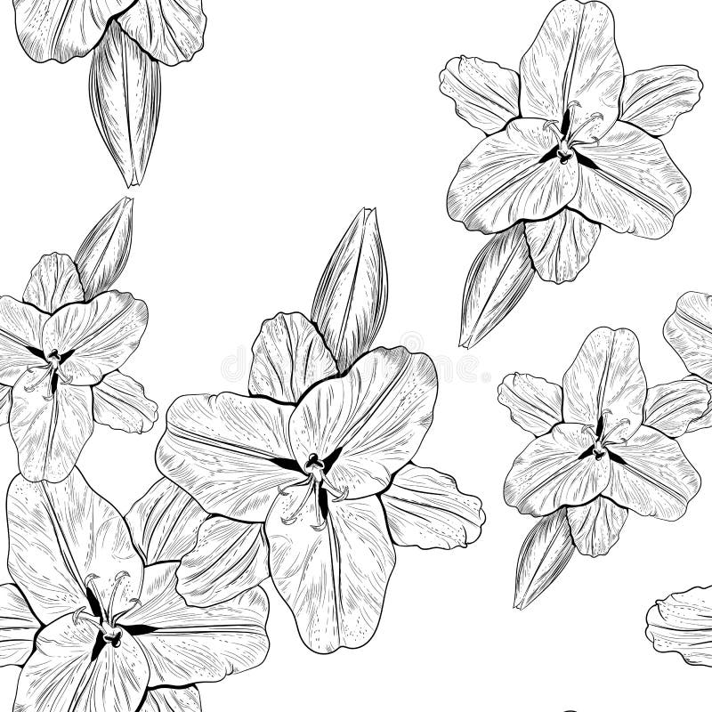 O monochrome bonito, sem emenda preto e branco da linha preto e branco lírio floresce ilustração royalty free O monochrome bonito, sem emenda preto e branco da linha preto e branco lírio floresce ilustração royalty free
