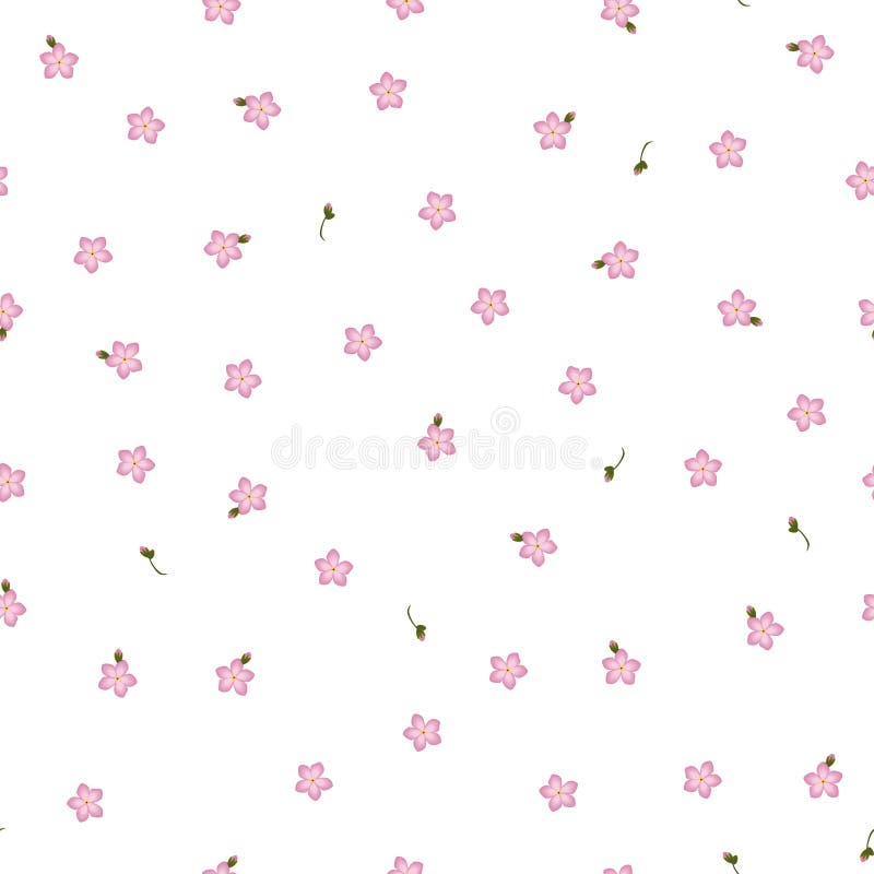 O Myosotis floral sem emenda do rosa do teste padrão floresce com o botão no branco ilustração do vetor O Myosotis floral sem emenda do rosa do teste padrão floresce com o botão no branco ilustração do vetor
