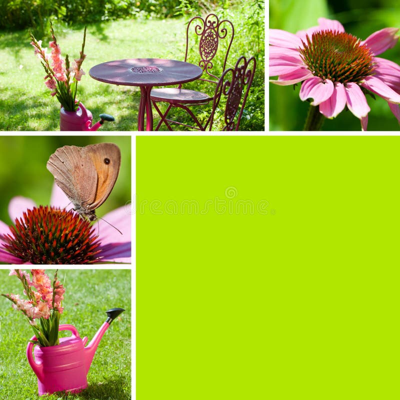 Collage of different atumn flower pictures. Collage of different atumn flower pictures