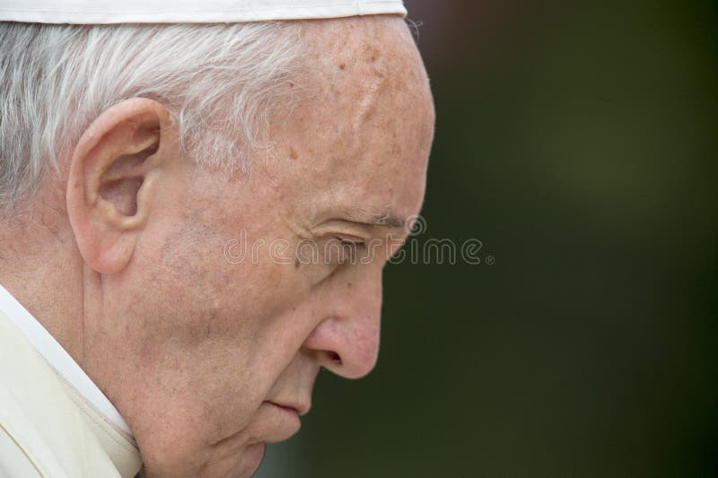 O papa Francis atende a uma cerimônia decolocação