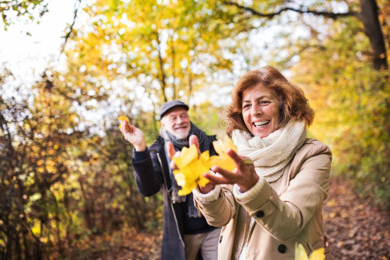 O par superior em uma caminhada em uma floresta em uma natureza do outono, guardando sae imagem de stock O par superior em uma caminhada em uma floresta em uma natureza do outono, guardando sae imagem de stock