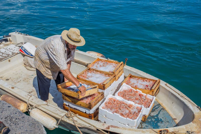 Fisherman returns to the port after a fishing day, Genoa province, ligurian riviera, Italy, Europe. Fisherman returns to the port after a fishing day, Genoa province, ligurian riviera, Italy, Europe.