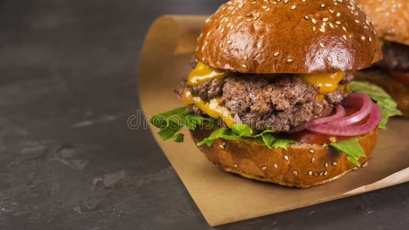 O poză cu un burger delicios de stradă. royalty free stock photography