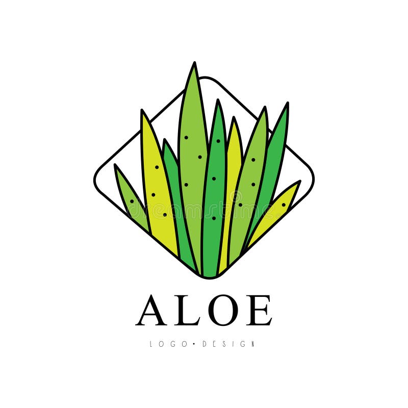 Aloe vera logotipo planta verde projeto de saúde ilustração vetorial  símbolo