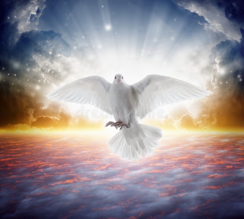 O pássaro do Espírito Santo voa nos céus, luz brilhante brilha do céu
