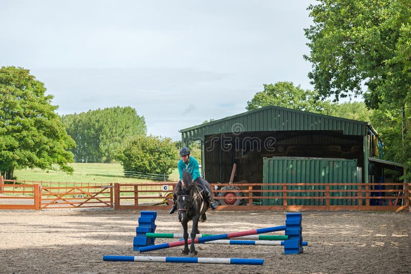 O salto do cavalo imagem de stock O salto do cavalo imagem de stock