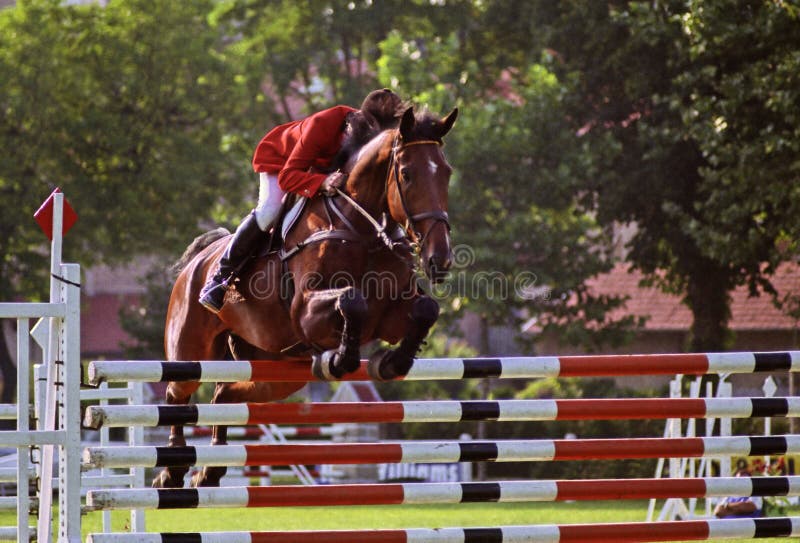 Foto De Stock Cavalo Pulando Cruz País Cerca