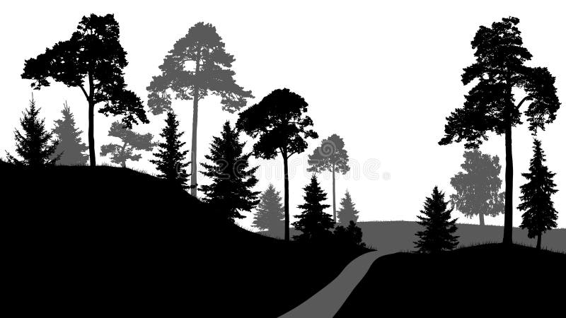 O trajeto de floresta, saída das árvores de floresta mostra em silhueta o vetor, no fundo branco