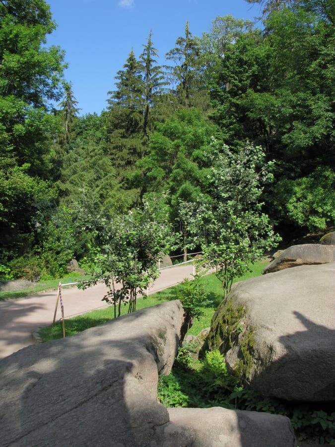 O trajeto vai a um arvoredo verde grosso da floresta com os pedregulhos enormes que encontram-se na borda da estrada com um céu a foto de stock O trajeto vai a um arvoredo verde grosso da floresta com os pedregulhos enormes que encontram-se na borda da estrada com um céu a foto de stock