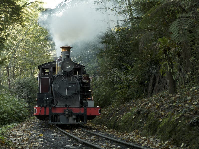 O trem de sopro de Billy monta através das escalas de Dandenong perto de Melbourne, Austrália fotografia de stock royalty free O trem de sopro de Billy monta através das escalas de Dandenong perto de Melbourne, Austrália fotografia de stock royalty free