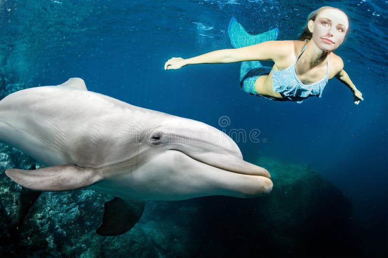 O underwater do golfinho encontra uma sereia loura imagem de stock O underwater do golfinho encontra uma sereia loura imagem de stock