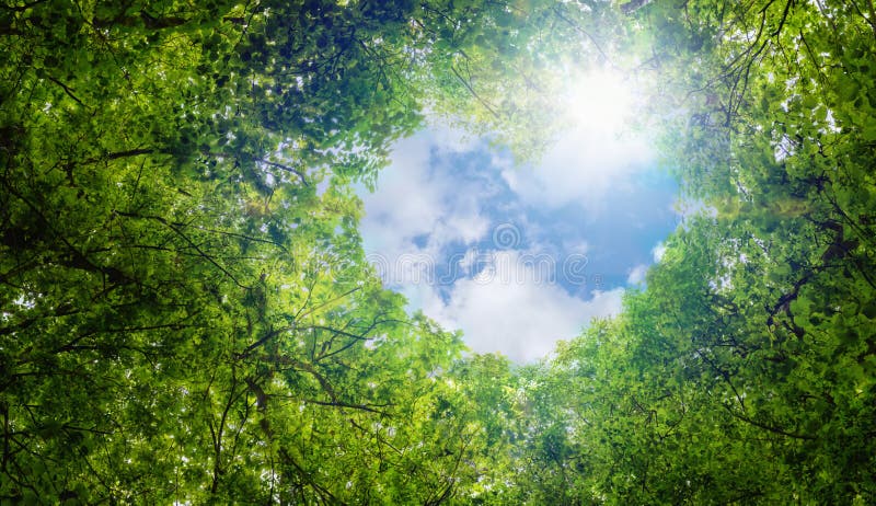 O verde deixa o fundo, sumário do fundo do símbolo do amor do eco da ideia do conceito da ecologia da nuvem da forma do coração d