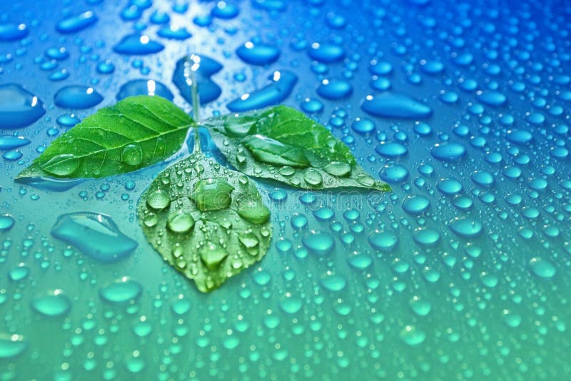 o verde sae na energia da ecologia do fundo da gota da água azul do pla
