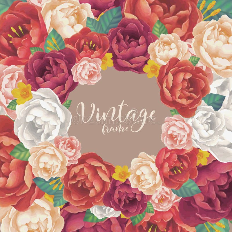 O vintage vermelho, cor-de-rosa e o roxo colorem peônias e as rosas vector o fundo do cartão ilustração stock O vintage vermelho, cor-de-rosa e o roxo colorem peônias e as rosas vector o fundo do cartão ilustração stock