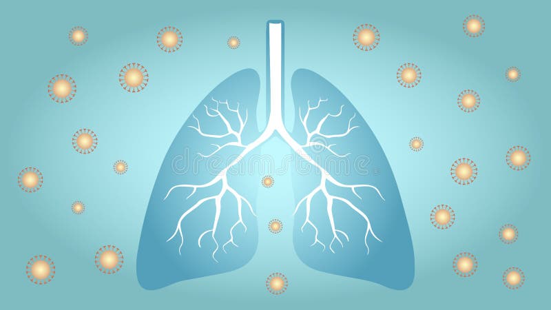 O vírus Corona envolve os pulmões humanos