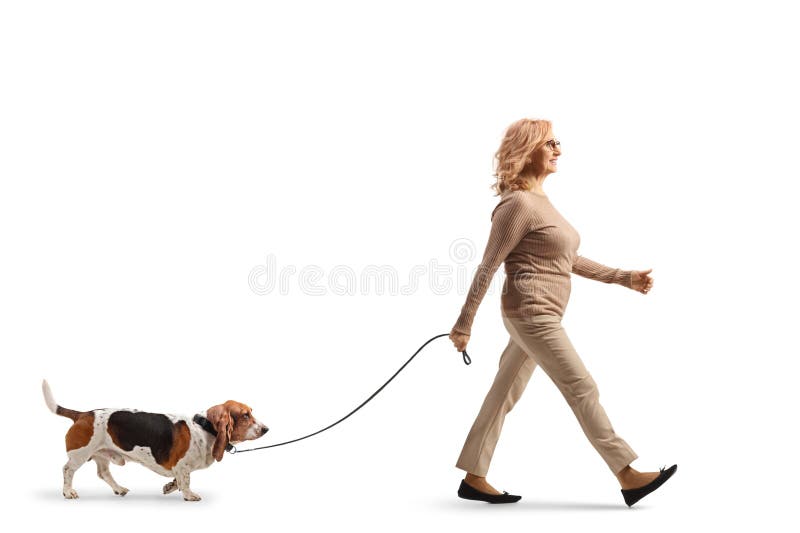 O împușcătură în lungime a unei femei care plimbă un câine de vânătoare pe o pistă royalty free stock images