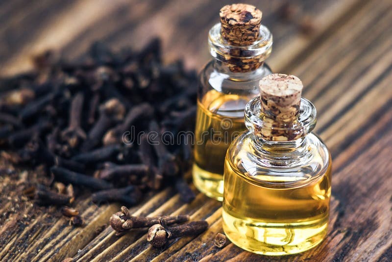 O óleo essencial na garrafa de vidro e os cravos-da-índia secos na cópia de madeira escura do fundo espaçam o tratamento da belez